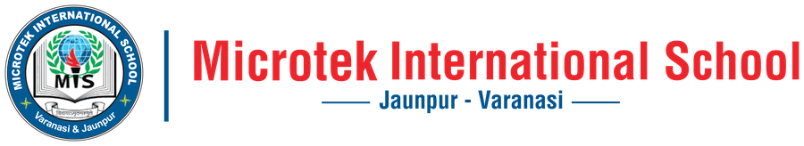 Microtek International School